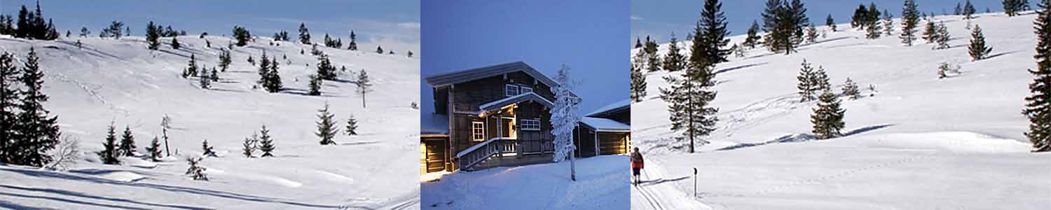 Hytteområder